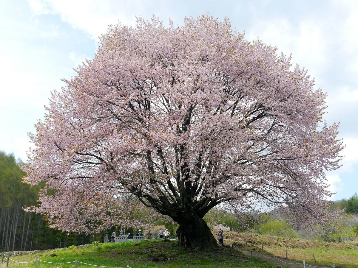 Pension Green Field Katashina ภายนอก รูปภาพ